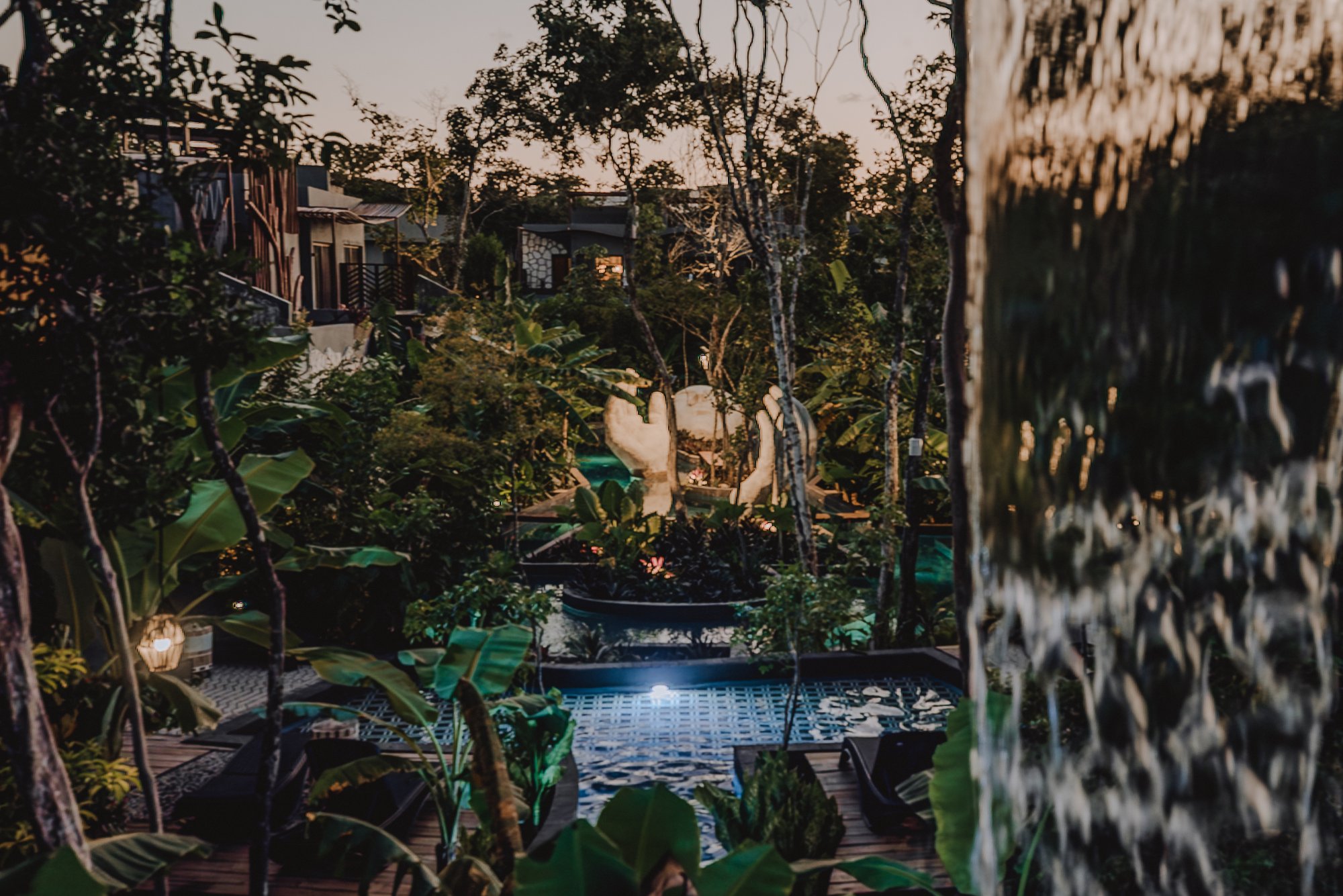 Evening jungle